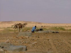 Puits d'Aratane