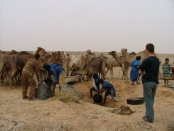Puits d'Oujaf