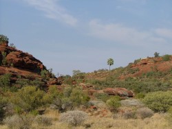 Australie du Nord (1) 2004 - KapSud