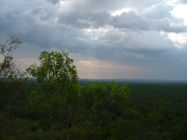 Panorama du Litchfied NP