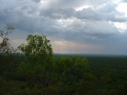 Panorama du Litchfied NP