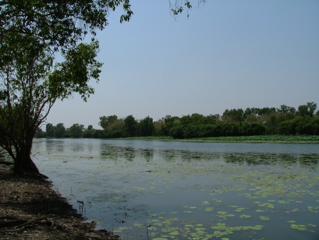 Alligator River sans alligators !