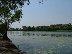 Alligator River sans alligators !
