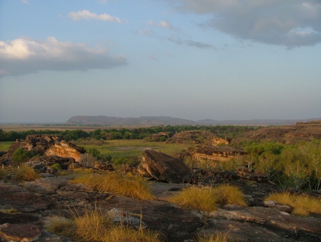 Point de vue depuis Nadab Lookout