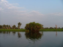 Ballade sur la paisible Yellow River