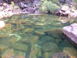 Eaux cristallines de la gorge des Twin Falls