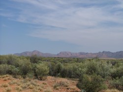 Montagnes des MacDonnell Ranges