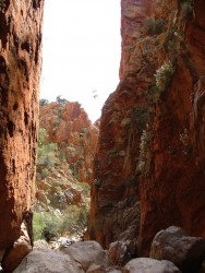 Défilé rocheux de Simpson Gap