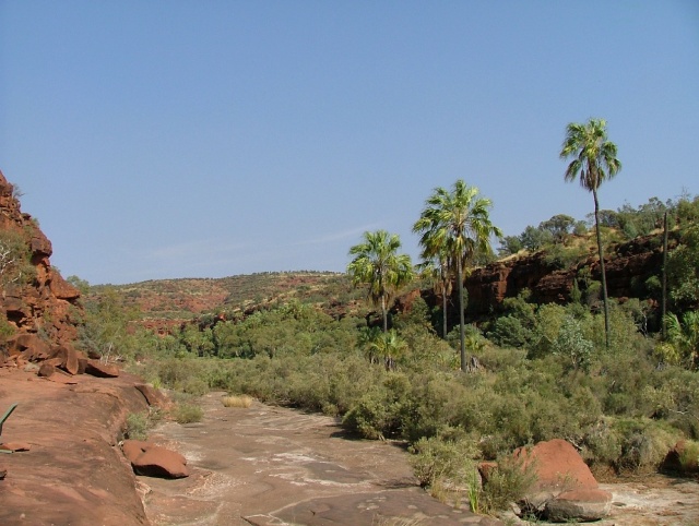 Paysages époustouflants de Palm Valley