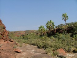 Paysages époustouflants de Palm Valley