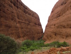 L'errosion a fait son oeuvre dans le labyrinthe des gorges des Kata Tjuta