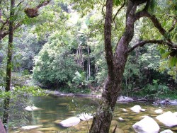 Les gorges sont toujours de la partie