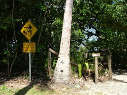 L'Australie c'est le paradis si on oublie les crocos, les méduses, les requins, les serpents, les mouches,...