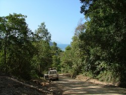 Changement de décor pour Cape Tribulation