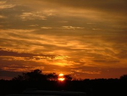 Lever de soleil sur Uluru, la magie des couleurs commence !