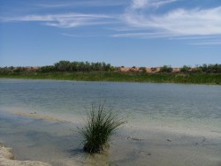 Eau saumâtre de Puni Bore