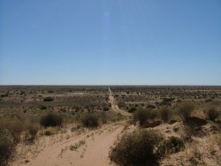 Piste interminable à travers le Simpson Desert