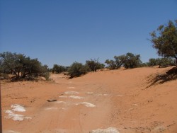 Parfois des roches blanches dures affleurent à la surface