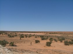 Des faux airs de savane aride africaine