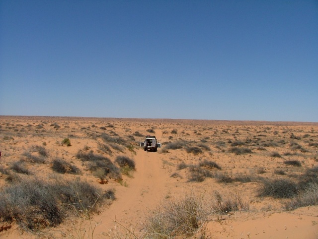 Des paysages de plus en plus désolés