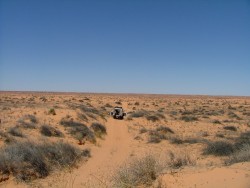 Des paysages de plus en plus désolés