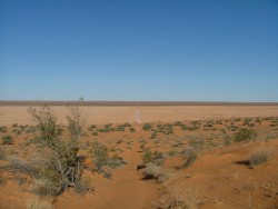 Des paysages de plus en plus désolés