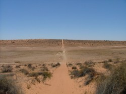 Les dunes s'élèvent et s'espacent
