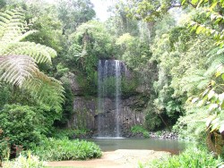 Les chutes raffraichissantes de Millaa Millaa