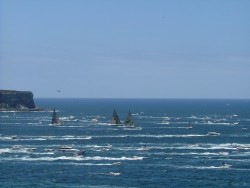 Le fabuleux spectacle des dizaines de bateaux compétiteurs franchissant la ligne fatidique du départ