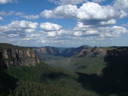 Les vastes canyons couverts de forêt d'eucalyptus, paysages typique des Blue Mountains