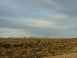 erre rouge, sols arides, végétation rabougrie le cocktail gagnant de l'Outback