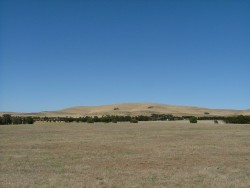Transition entre l'Outback et la région agricole