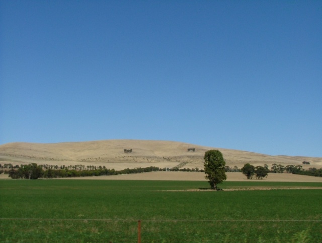Cultures extensives et élevage de mérinos