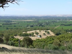 Panorama sur la Barrossa Valley