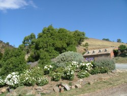 Cottages fleuries comme propriétés viticoles