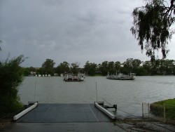Le service de bac gratuit pour traverser la Murray River