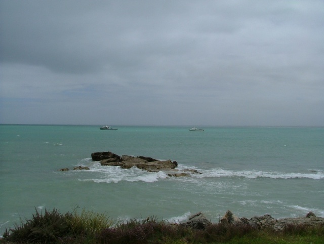 Côte battue par les vents