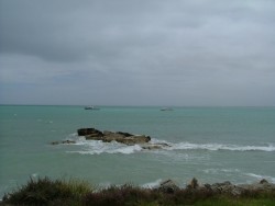 Côte battue par les vents