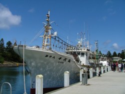 Port-Fairy, un port de pêche actif