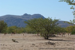 Déjà nous voilà au milieu de la faune sauvage