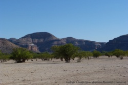 Les paysages des gorges de Khowarib sont superbes
