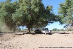 Une pause bien méritée sous un des grands arbres qui borde la rivière asséchée