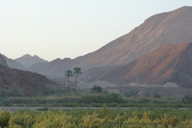 Les palmiers annonciateurs de l'oasis toute proche qu'est Puros
