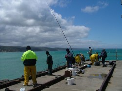 La pêche encore et toujours sport national des Aussies