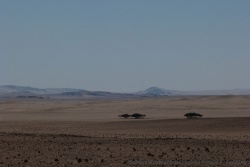 namibie-2014-0606-134152