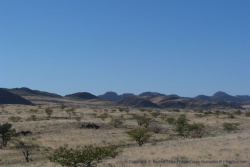 Bien que très arides, les paysages ne sont plus totalement désertiques
