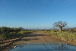 Un magnifique baobab au bord de la piste