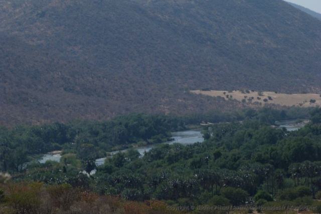 Le changement de couleur de la végétation montre bien la limite d'influence de la rivière