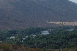 Le changement de couleur de la végétation montre bien la limite d'influence de la rivière