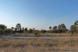 Peu à peu nous quittons la rivière Kunene et les paysages deviennent de plus en plus arides